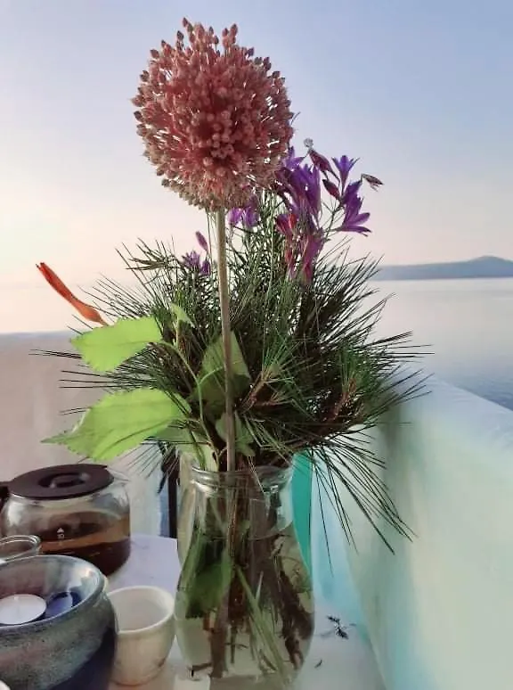 Bed & Breakfast Villa Biser Moscenicka Draga