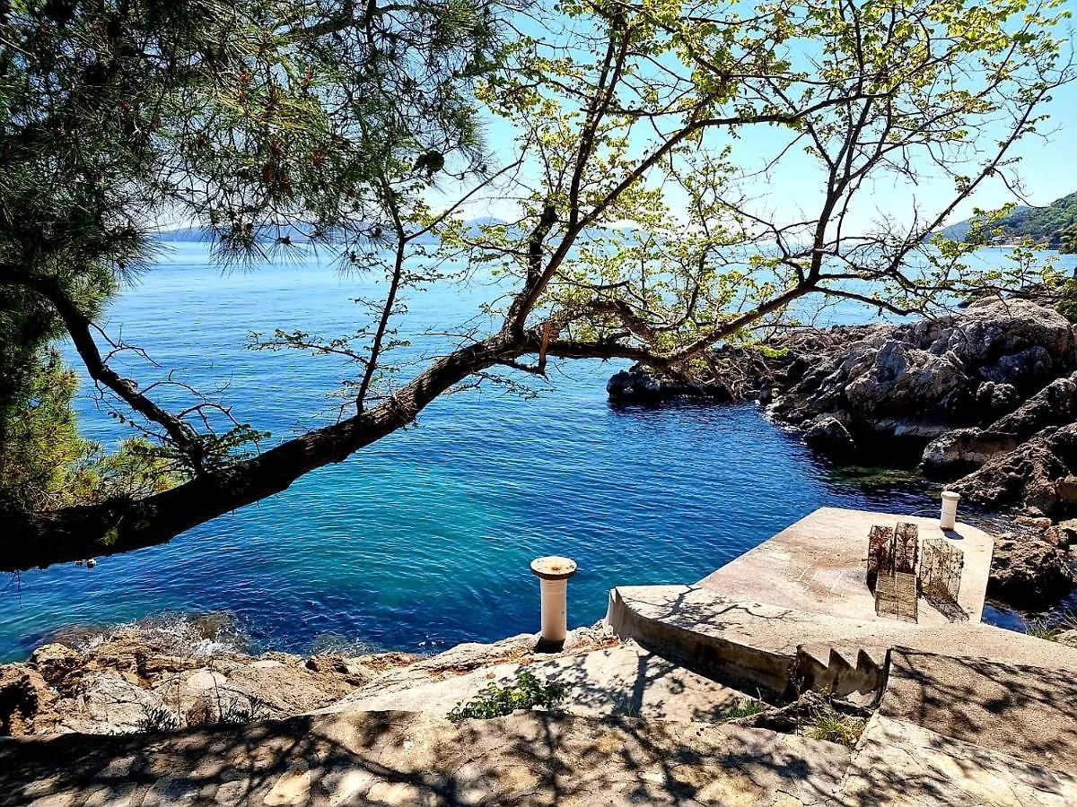 Villa Biser Moscenicka Draga